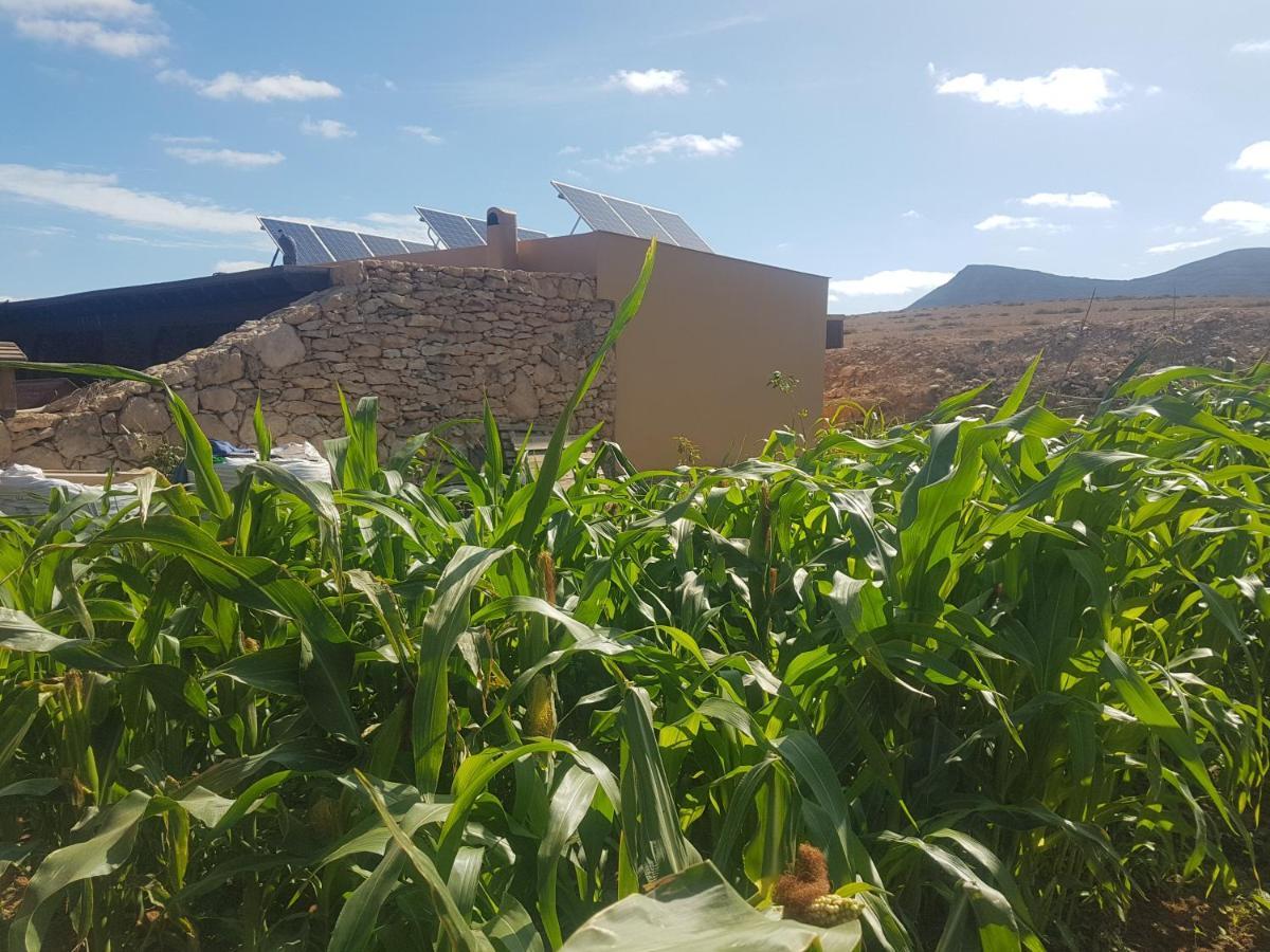 Villa La Vista De Tefía מראה חיצוני תמונה