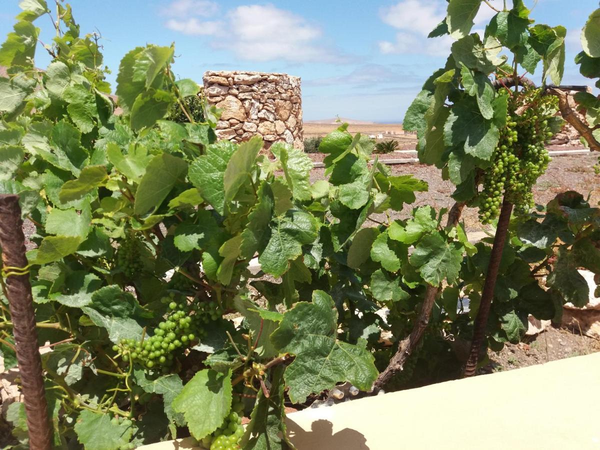 Villa La Vista De Tefía מראה חיצוני תמונה
