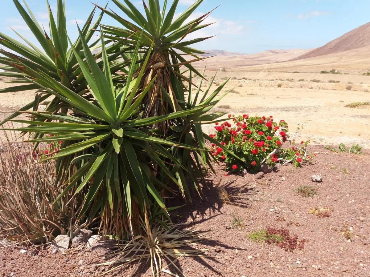 Villa La Vista De Tefía מראה חיצוני תמונה